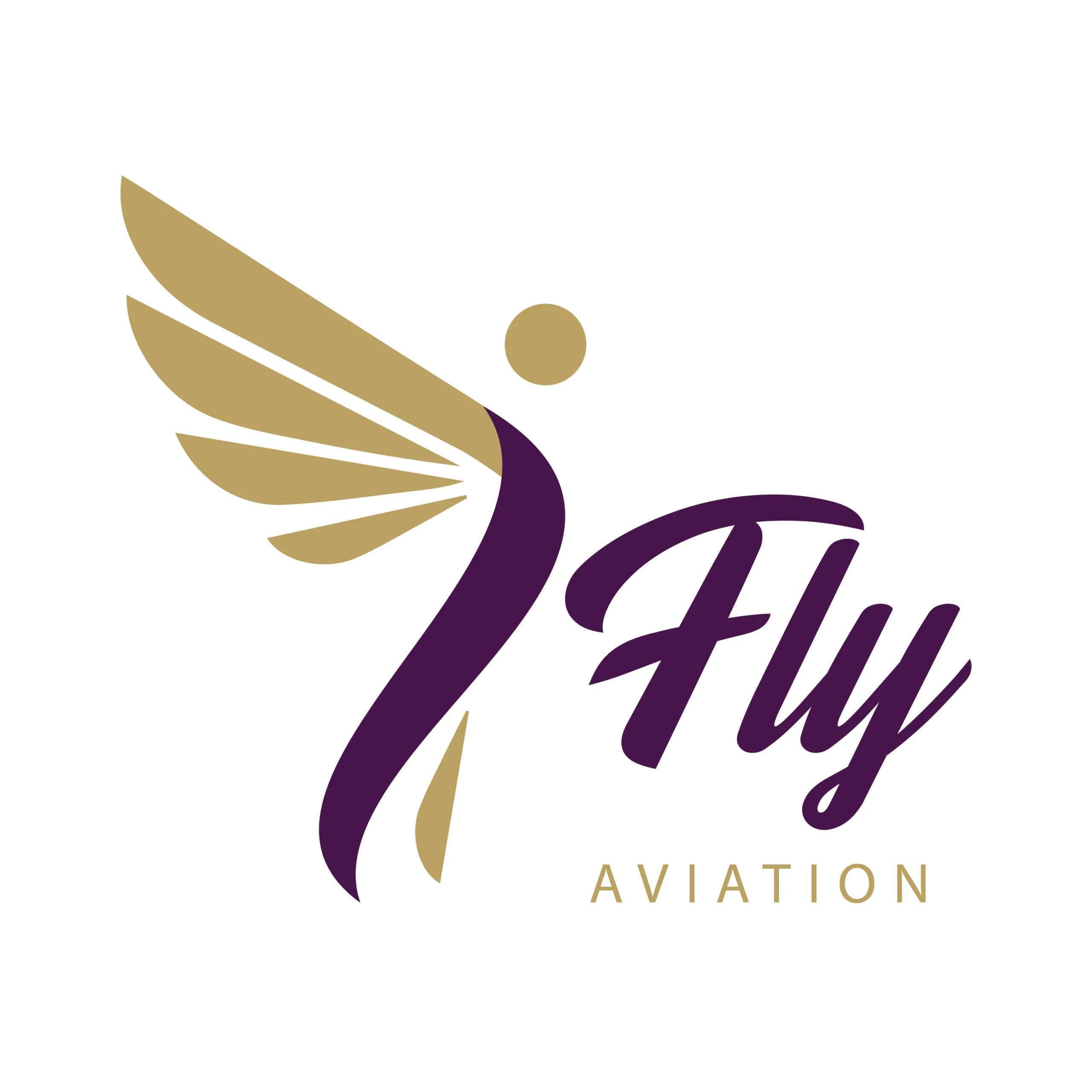 Home 1 Ifly aviation Purple scaled