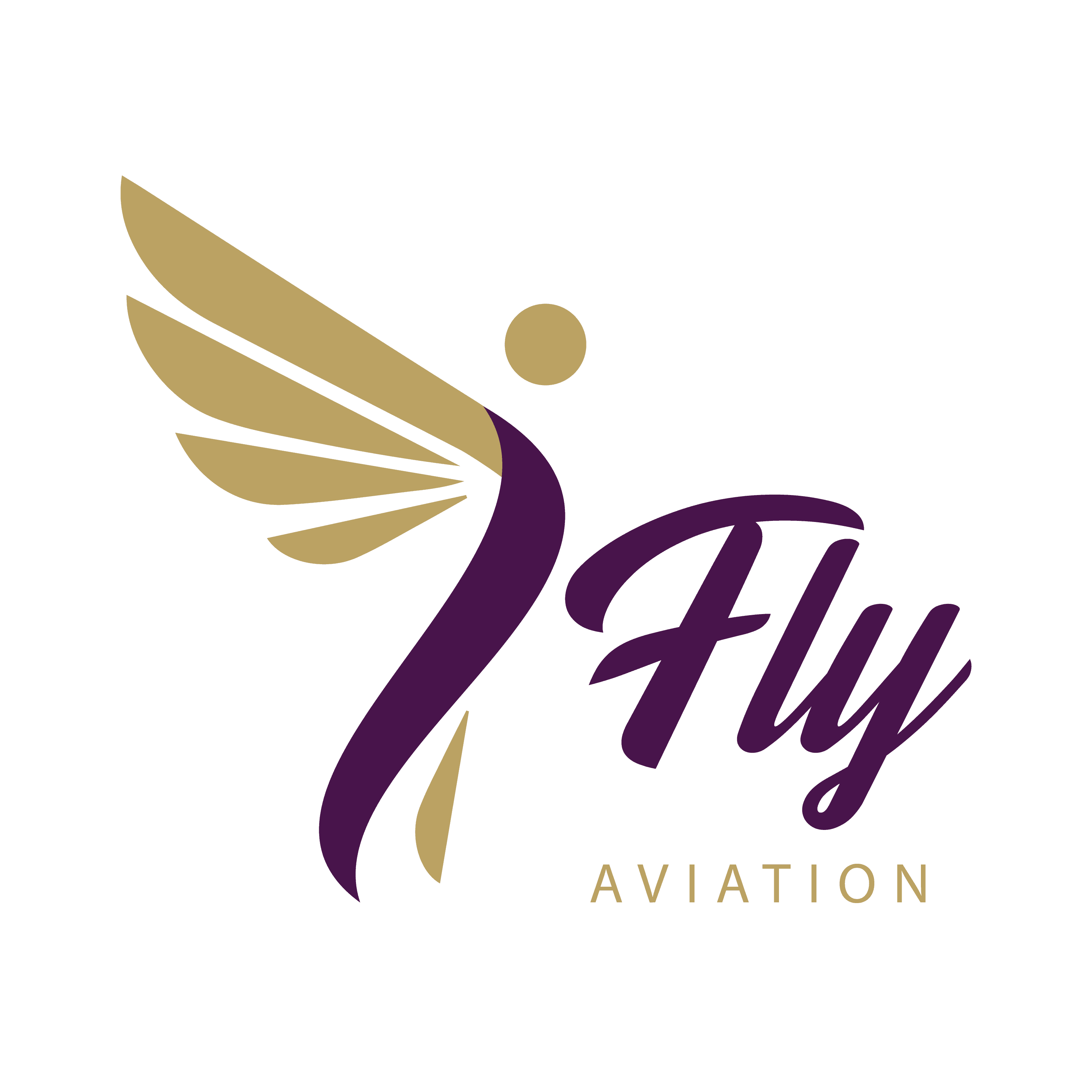 Ifly aviation Purple
